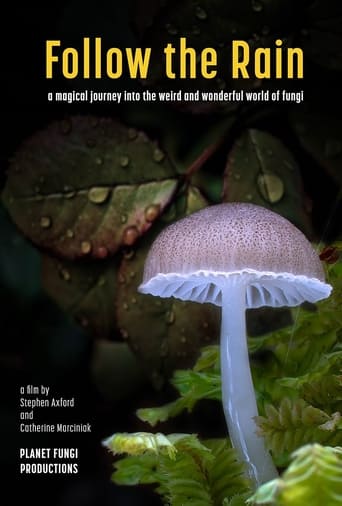 Follow the Rain Poster of Follow the Rain
