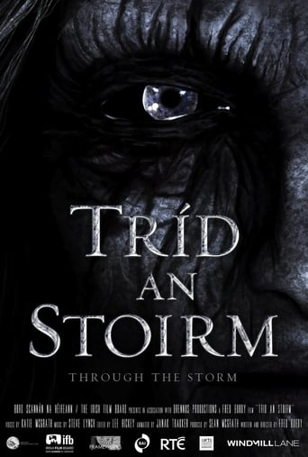 Poster of Through the Storm