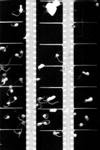 Shot Film Poster of Shot Film