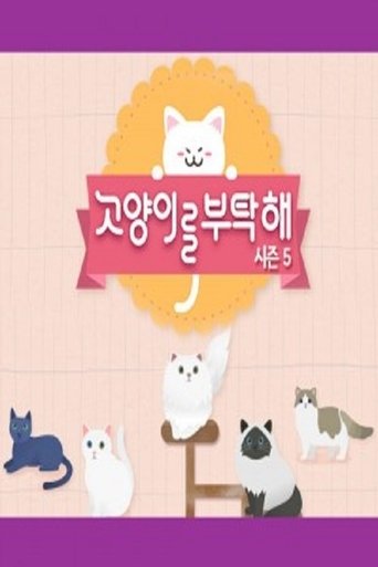 Portrait for 고양이를 부탁해 - Season 5
