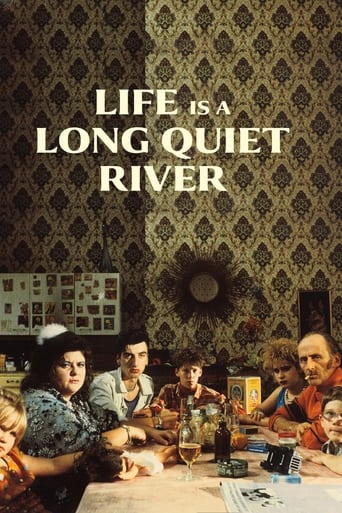 Poster of Life Is a Long Quiet River