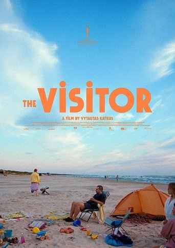 Poster of The Visitor