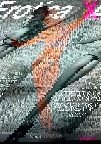 Poster of Eternal Passion 3