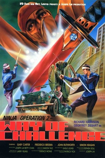 Poster of Ninja Operation 2 - Way of Challenge
