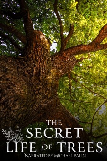 The Secret Life of Trees Poster of The Secret Life of Trees