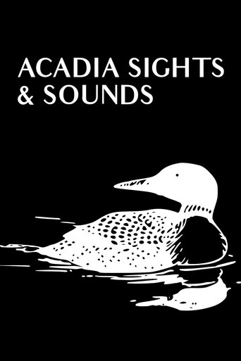 Acadia Sights & Sounds Poster of Acadia Sights & Sounds