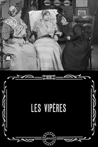 Poster of The Vipers