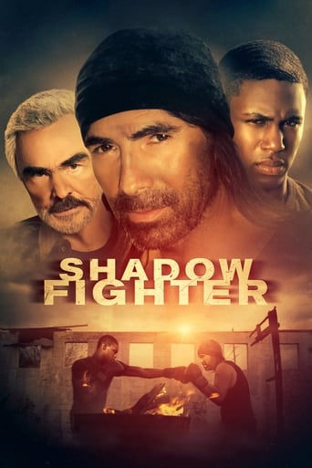 Poster of Shadow Fighter