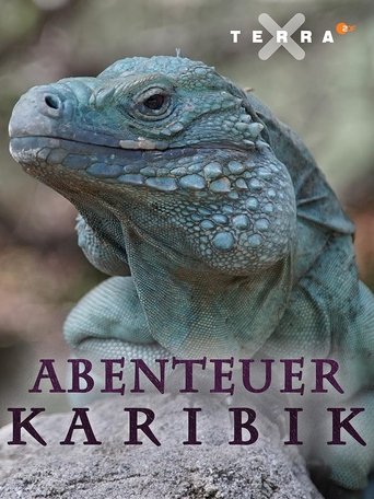Abenteuer Karibik Poster of Abenteuer Karibik