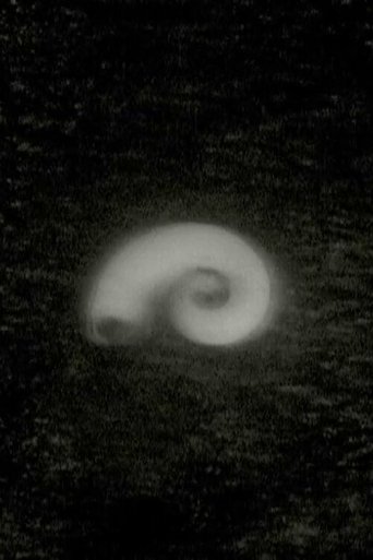 Poster of I Found Water