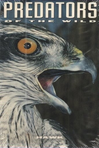 Poster of Predators of the Wild: Hawk
