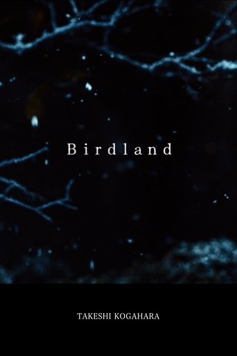 Poster of Birdland