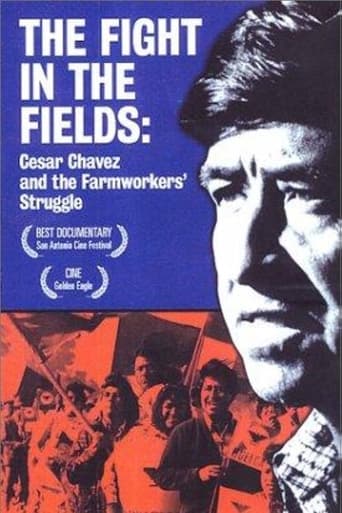 Poster of The Fight In The Fields