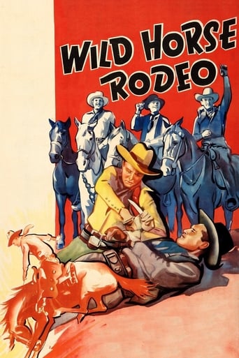 Poster of Wild Horse Rodeo