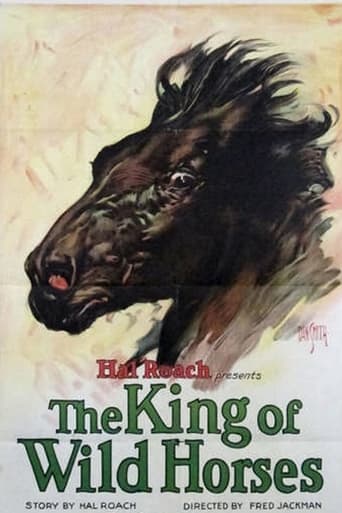 Poster of The King of the Wild Horses