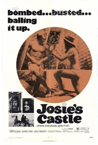 Poster of Josie's Castle