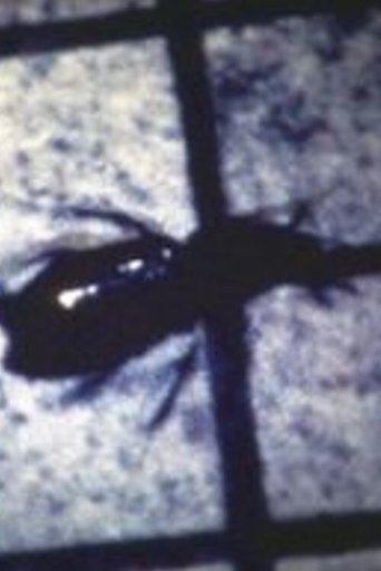INSECT Poster of INSECT