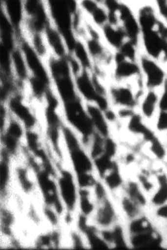 Poster of Felder 9.6