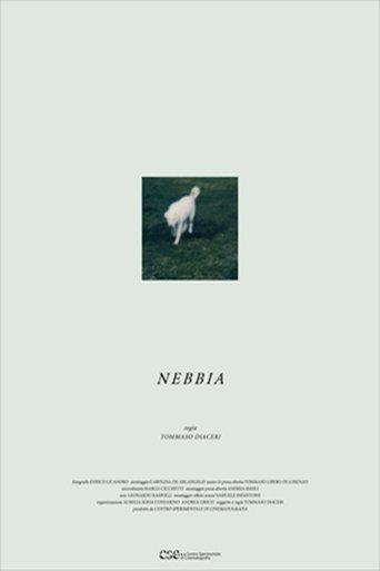 Poster of Nebbia