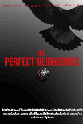 Poster of The Perfect Neighbours