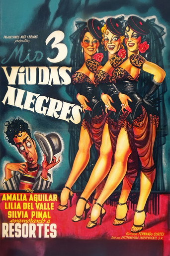 Poster of My Three Merry Widows
