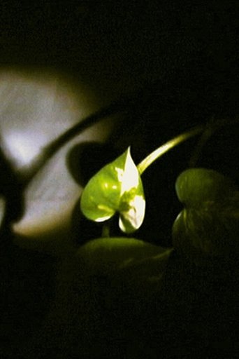 Poster of Floating Leaf