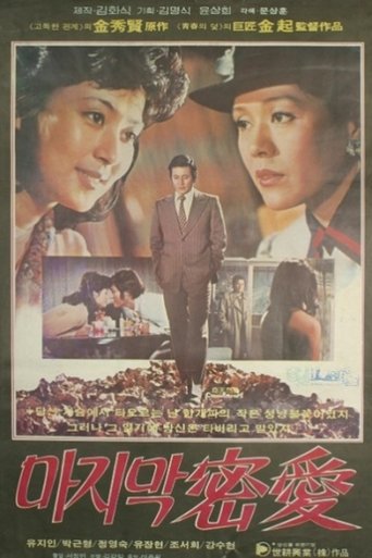 Poster of The Last Secret Love