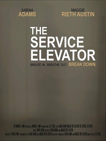 Poster of The Service Elevator