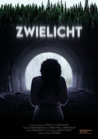 Zwielicht Poster of Zwielicht