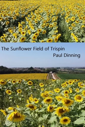 Poster of The Sunflower Field of Trispen