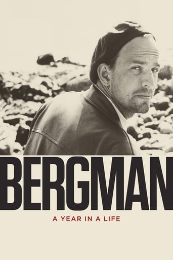 Poster of Bergman: A Year in a Life
