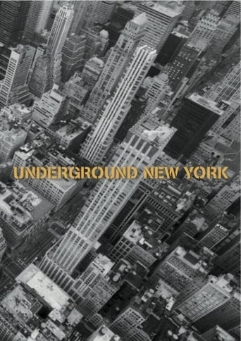 Poster of Underground New York