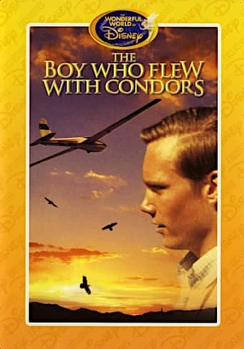 Poster of The Boy Who Flew with Condors