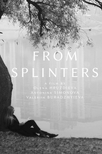 Poster of From Splinters