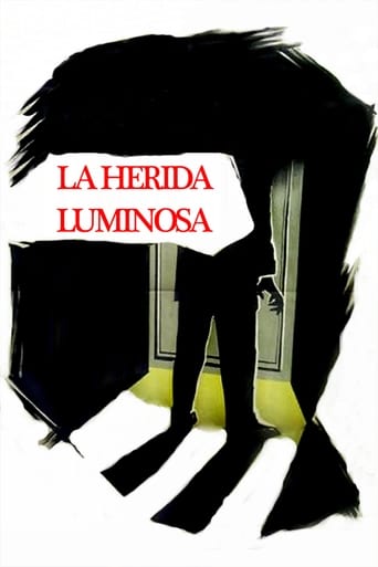 Poster of La herida luminosa