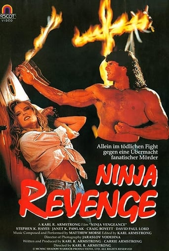 Poster of Ninja Vengeance