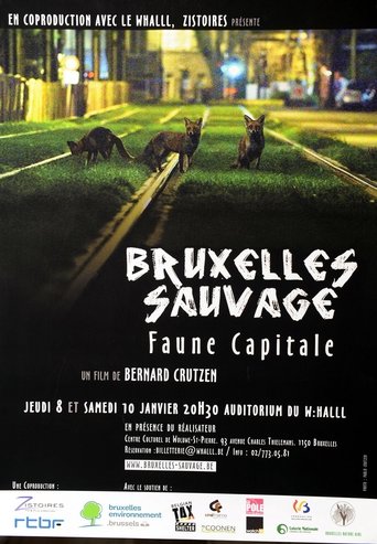 Brussels, the Wild Side Poster of Brussels, the Wild Side