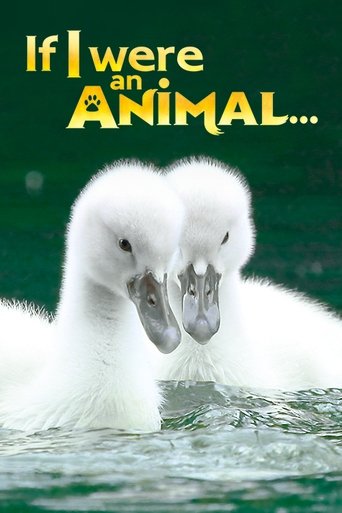 Portrait for If I were an Animal - Season 1