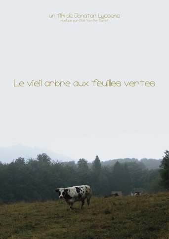 Poster of A New Spring For An Ancient Bough