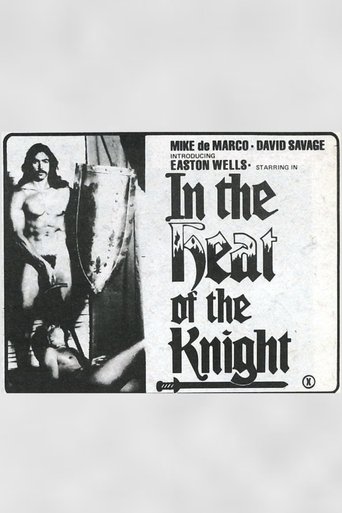 Poster of In The Heat of The Knight