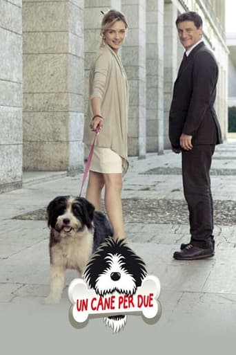 Poster of Un cane per due