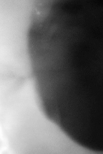 M M Poster of M M