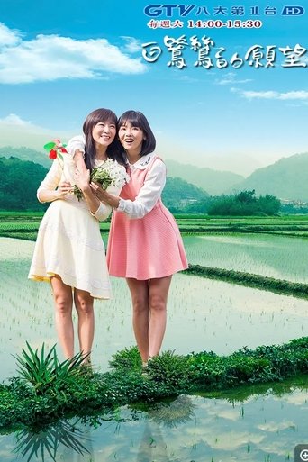 Poster of 白鷺鷥的願望