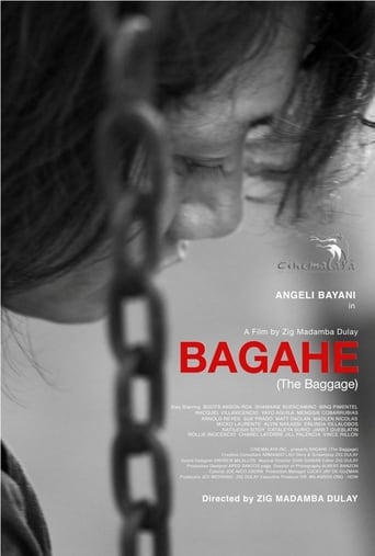 Poster of The Baggage