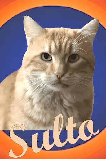 Poster of Sulto