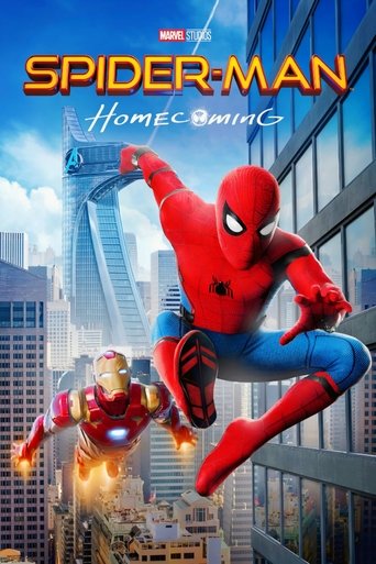 The Spider-Man Story Poster of The Spider-Man Story