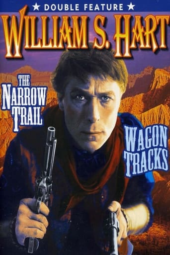 Poster of The Narrow Trail