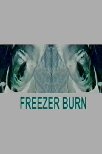 Poster of Freezer Burn