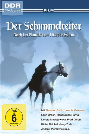 Poster of Der Schimmelreiter
