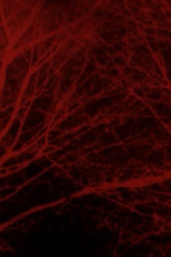 Bad Blood Poster of Bad Blood